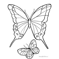 Mariposa #6294