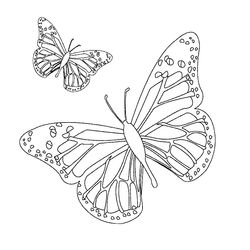 Mariposa #6296