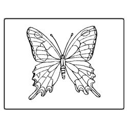 Mariposa #6300