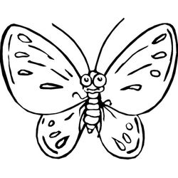 Mariposa #6301