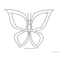 Mariposa #6305