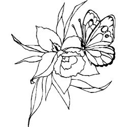Mariposa #6306