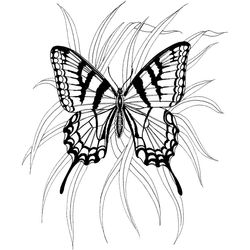 Mariposa #6309