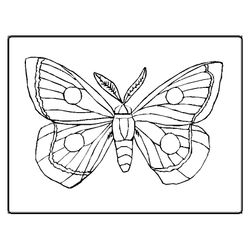 Mariposa #6311