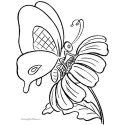 Mariposa #6312