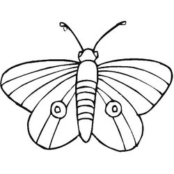 Mariposa #6314