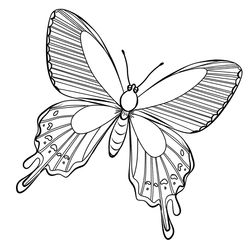Mariposa #6317