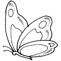 Mariposa #6323