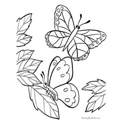 Mariposa #6326