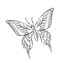 Mariposa #6332