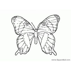 Mariposa #6333