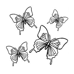 Mariposa #6337