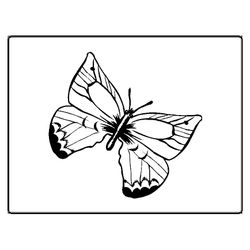 Mariposa #6339