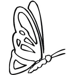 Mariposa #6349