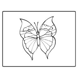 Mariposa #6351