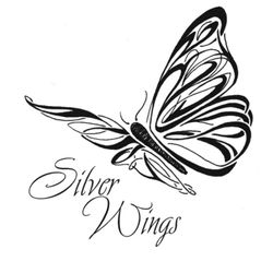 Mariposa #6352