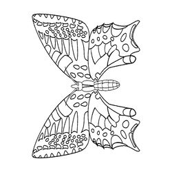 Mariposa #6362