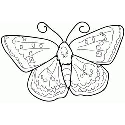 Mariposa #6363
