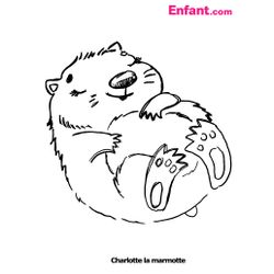 Marmota #6484