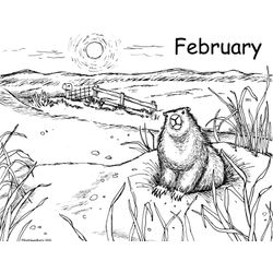 Marmota #6489