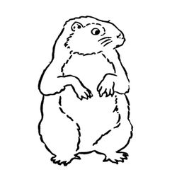 Marmota #6490