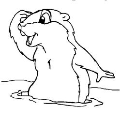 Marmota #6491