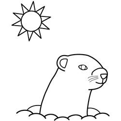 Marmota #6493