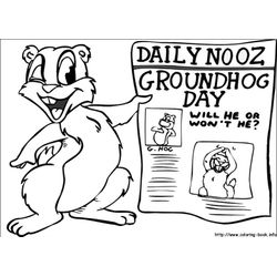 Marmota #6496
