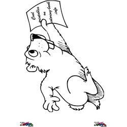 Marmota #6516