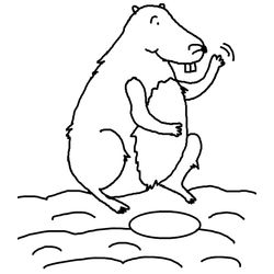 Marmota #6521