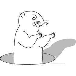 Marmota #6528