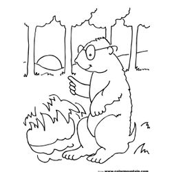 Marmota #6543