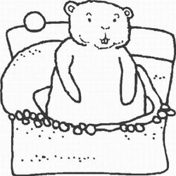 Marmota #6551