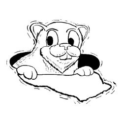 Marmota #6553