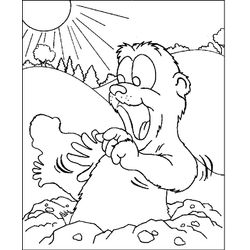 Marmota #6558