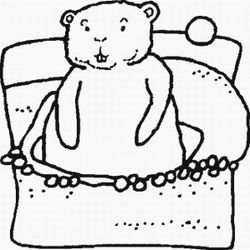 Marmota #6570