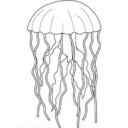 Medusa #6582