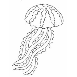 Medusa #6584