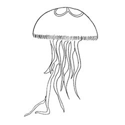 Medusa #6586