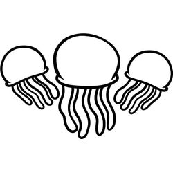 Medusa #6591