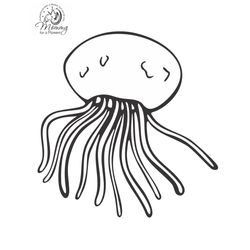 Medusa #6592