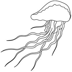 Medusa #6594
