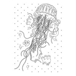 Medusa #6603