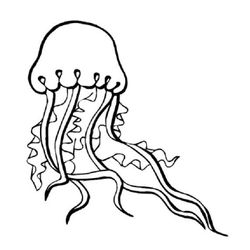 Medusa #6610
