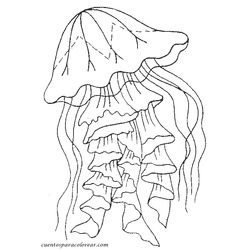 Medusa #6611