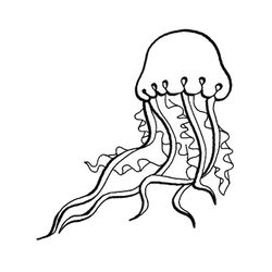 Medusa #6612