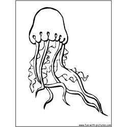 Medusa #6618