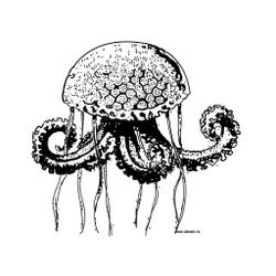 Medusa #6621
