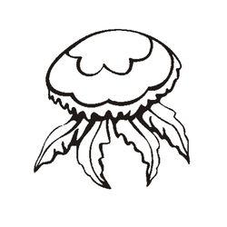 Medusa #6623