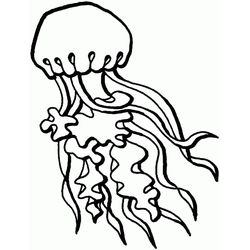 Medusa #6634